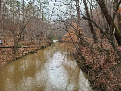 10 Best Hikes and Trails in William B. Umstead State Park | AllTrails