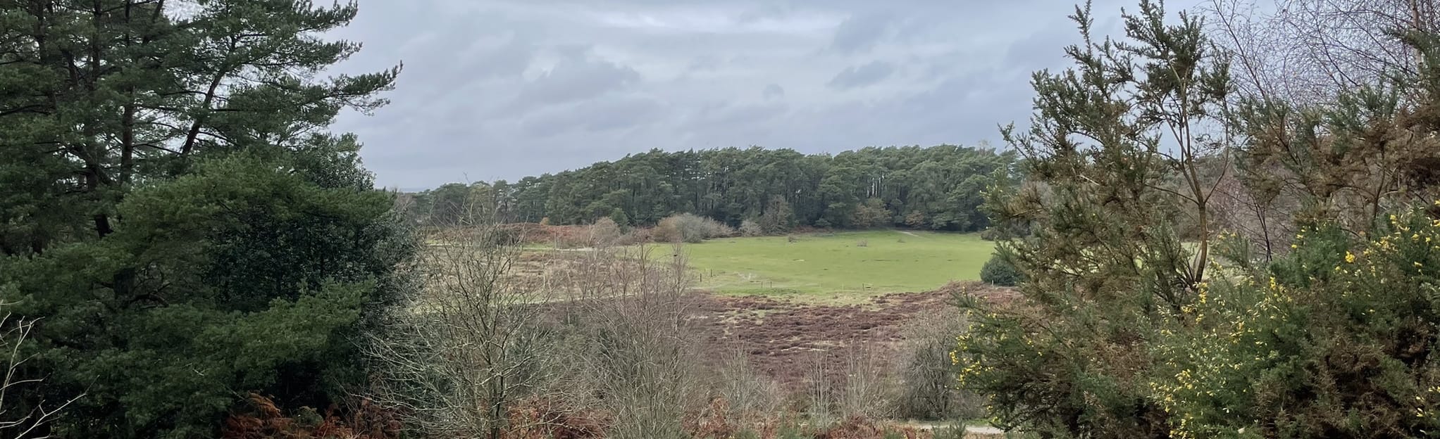 Sullington Warren, West Sussex, England 60 Reviews, Map AllTrails