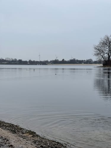 Wisseler Dünen