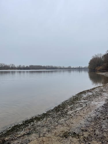Wisseler Dünen