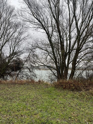 Wisseler Dünen
