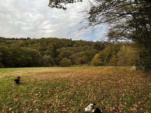 Durchs Morsbach- und Kaltenbachtal