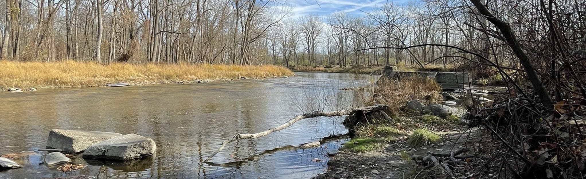 Charles Burchfield Nature Center Loop Map, Guide New York AllTrails