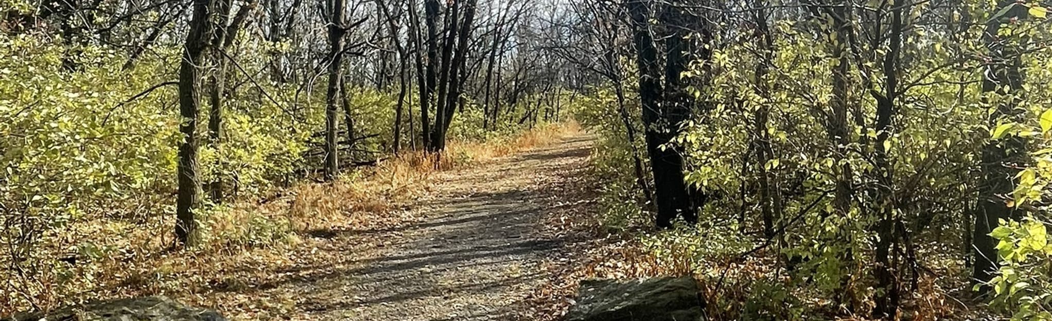 Bobwhite Loop, Iowa 10 Reviews, Map AllTrails