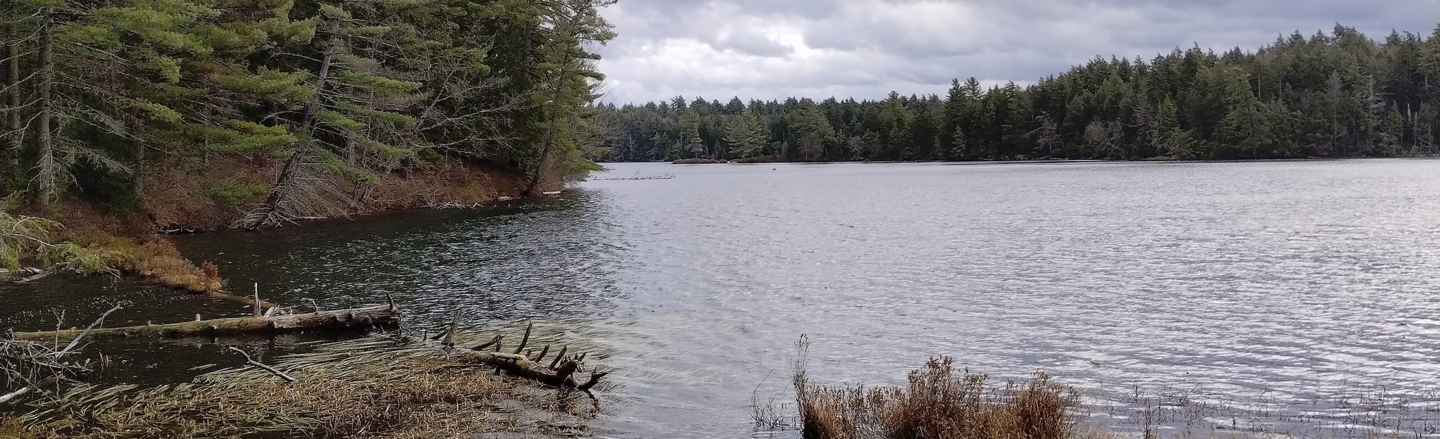 Horseshoe Pond Trail, New York 9 Reviews, Map AllTrails