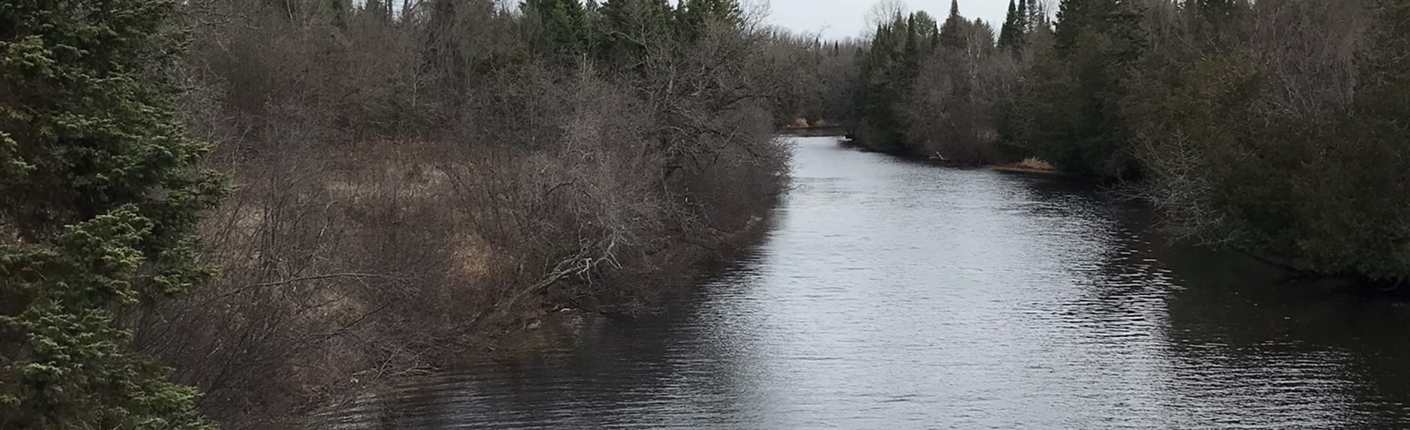 Burnt River Paddle 5 Reviews, Map Ontario, Canada AllTrails