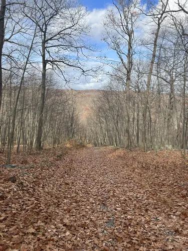 10 Best Hikes and Trails in Mahlon Dickerson Reservation AllTrails