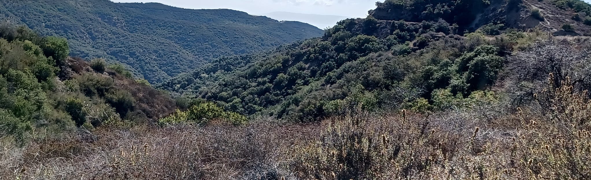 Sullivan Canyon Trail Map, Guide California AllTrails