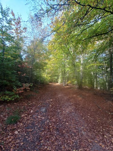 Wanderroute rund um Wölpinghausen