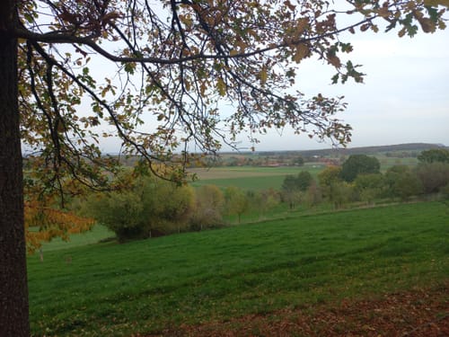 Wanderroute rund um Wölpinghausen