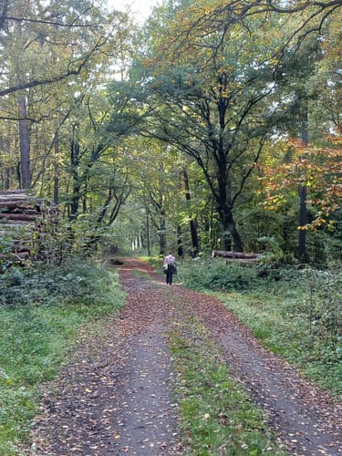 Wanderroute rund um Wölpinghausen