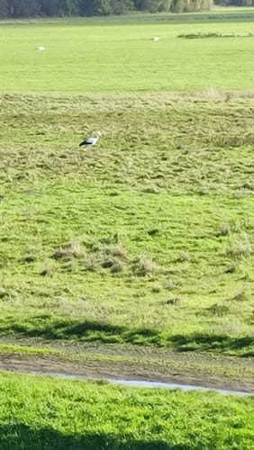 Durchs Schwalmtal ab Niedergrenzebach