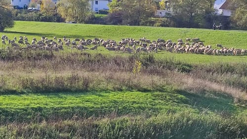 Durchs Schwalmtal ab Niedergrenzebach