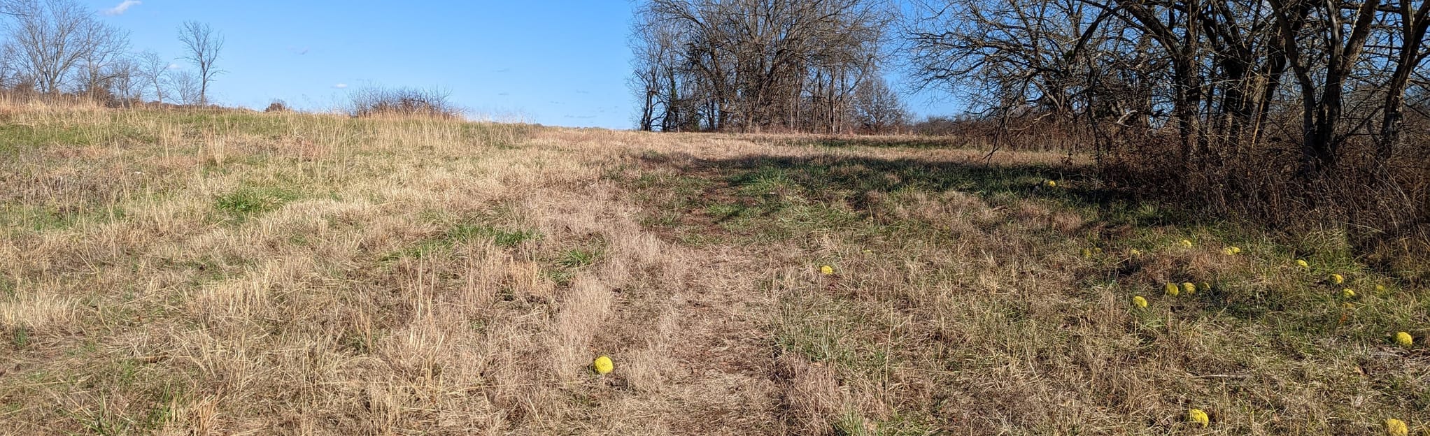 Bois D'Arc Short Loop 10 Reviews, Map Missouri AllTrails