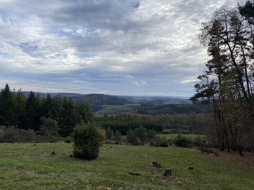 Arfter Traumrunde