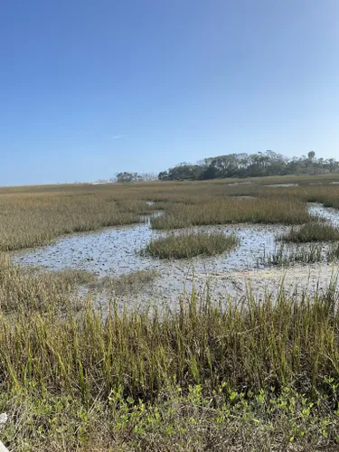 Best Hikes and Trails in Edisto Beach State Park | AllTrails