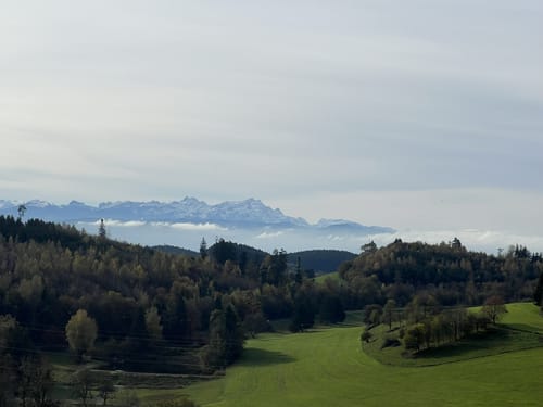 Wanderweg 10 Wangen im Allgäu: Neuravensburg und Argenzusammenfluss