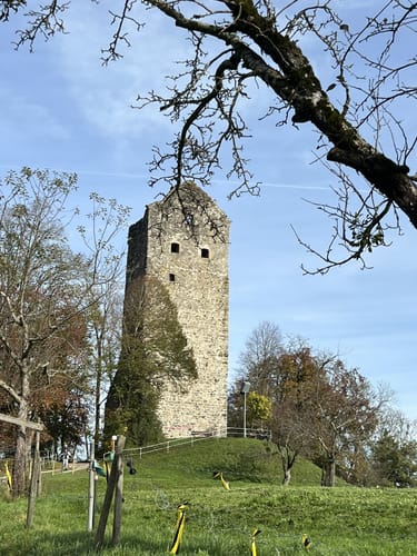 Wanderweg 10 Wangen im Allgäu: Neuravensburg und Argenzusammenfluss