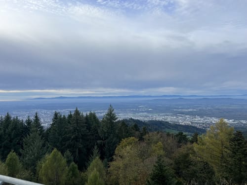 Rosskopfhaldenweg und Hubbelfuchs
