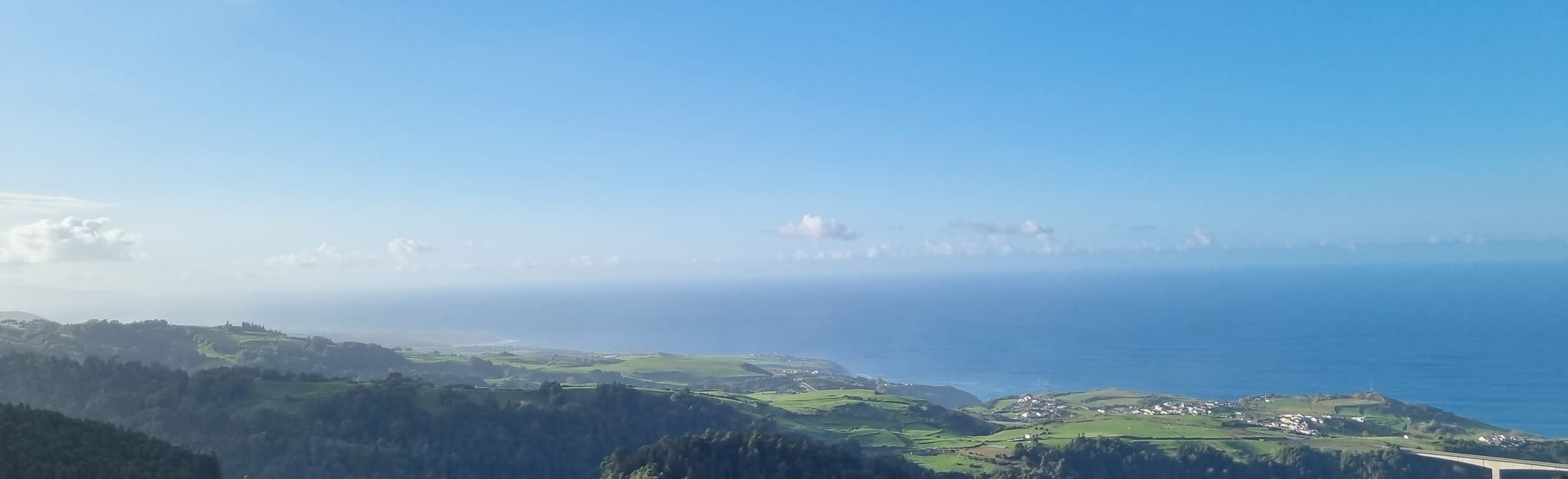 Pico da Vara Forest Path: 5 Reviews, Map - Azores, Portugal | AllTrails