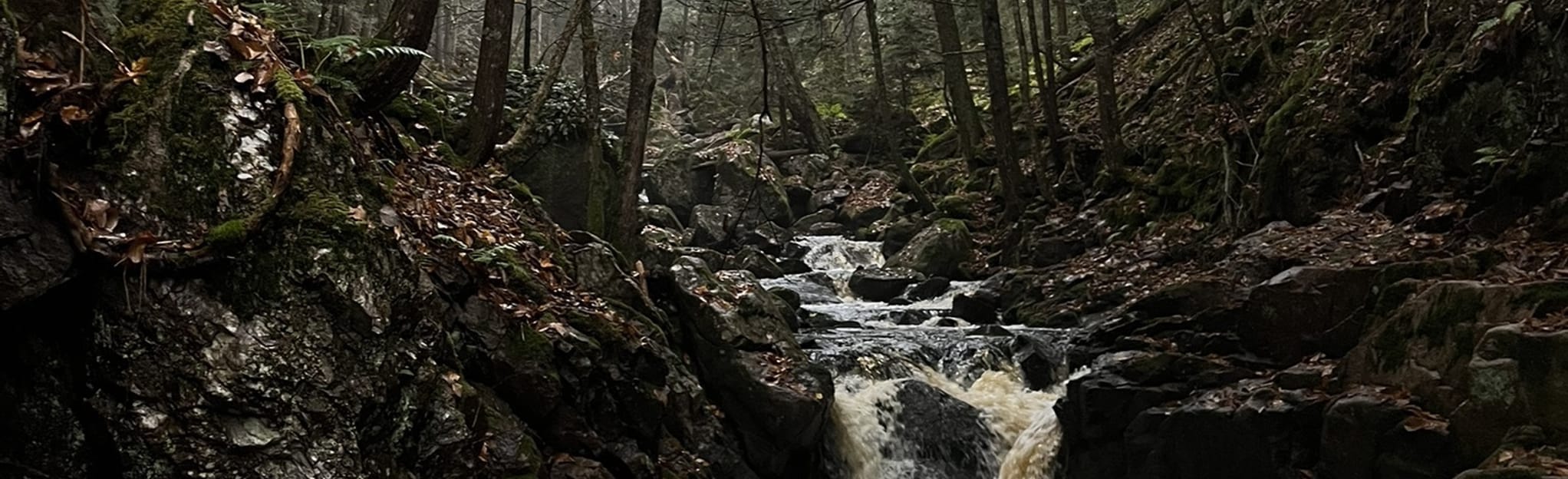 Eel Weir Brook Falls, Nova Scotia, Canada 20 Reviews, Map AllTrails