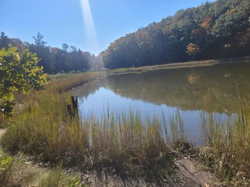 Coastal Wonders: 5 Stunning Hiking Trails in Huntington – New York