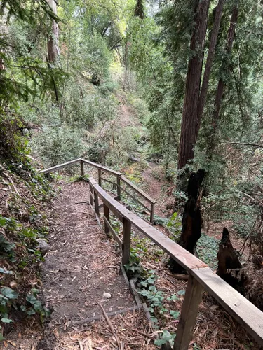 Best Hikes and Trails in Harvey West Park AllTrails