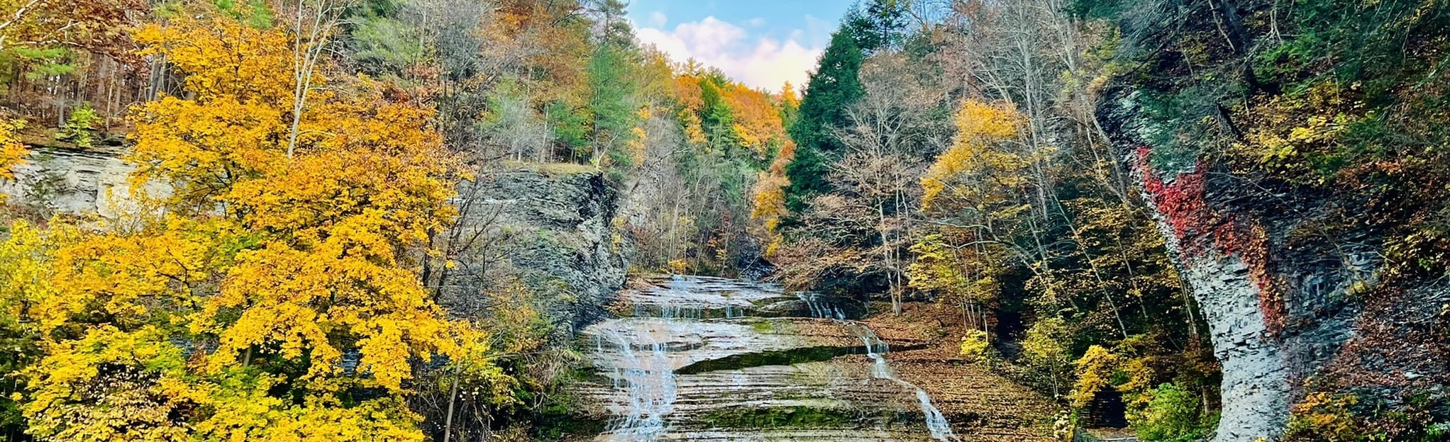 Buttermilk Falls and Rim Trail Loop 3332 Reviews, Map New York