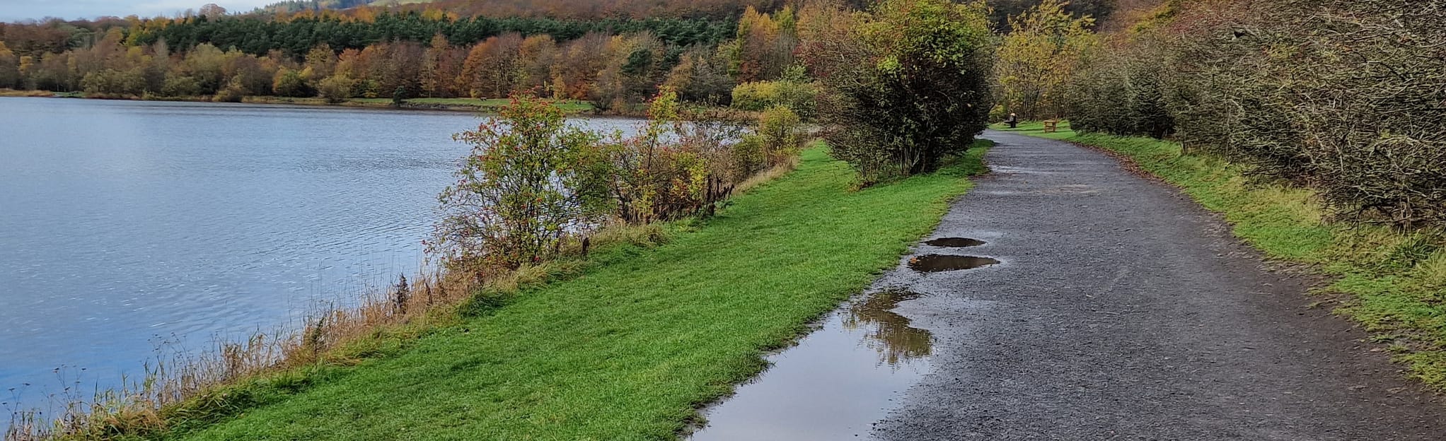 Loch Ore and Benarty Hill 20 Reviews, Map Fife, Scotland AllTrails