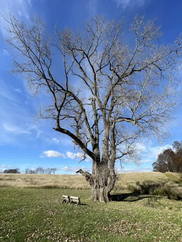 Best Historic Site Trails in Mount Morris | AllTrails