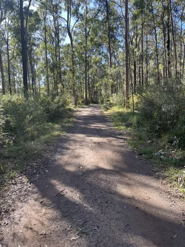 Best Easy Trails in Daisy Hill Conservation Park | AllTrails