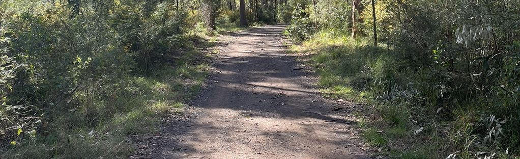 are dogs allowed at daisy hill conservation park