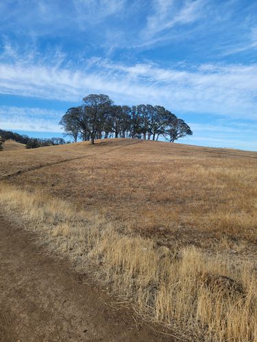 2023 Best trails in Round Valley Regional Preserve  AllTrails