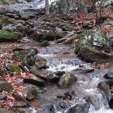 Potatopatch Mountain Loop, Virginia - 49 Reviews, Map | AllTrails