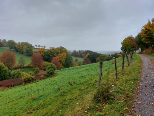 Kuckbachtal und Sägemühle - Weg 57