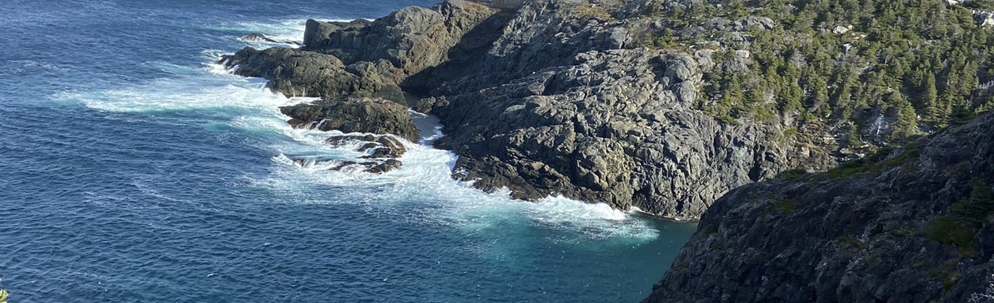 East Coast Trail White Horse Path Newfoundland and Labrador, Canada AllTrails