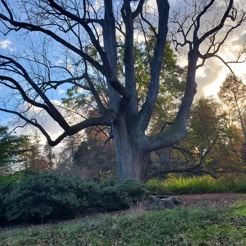 2023 Best Wild Flowers Trails in Villanova AllTrails