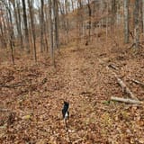 Leatherwood Creek Trail, Kentucky - 61 Reviews, Map | AllTrails