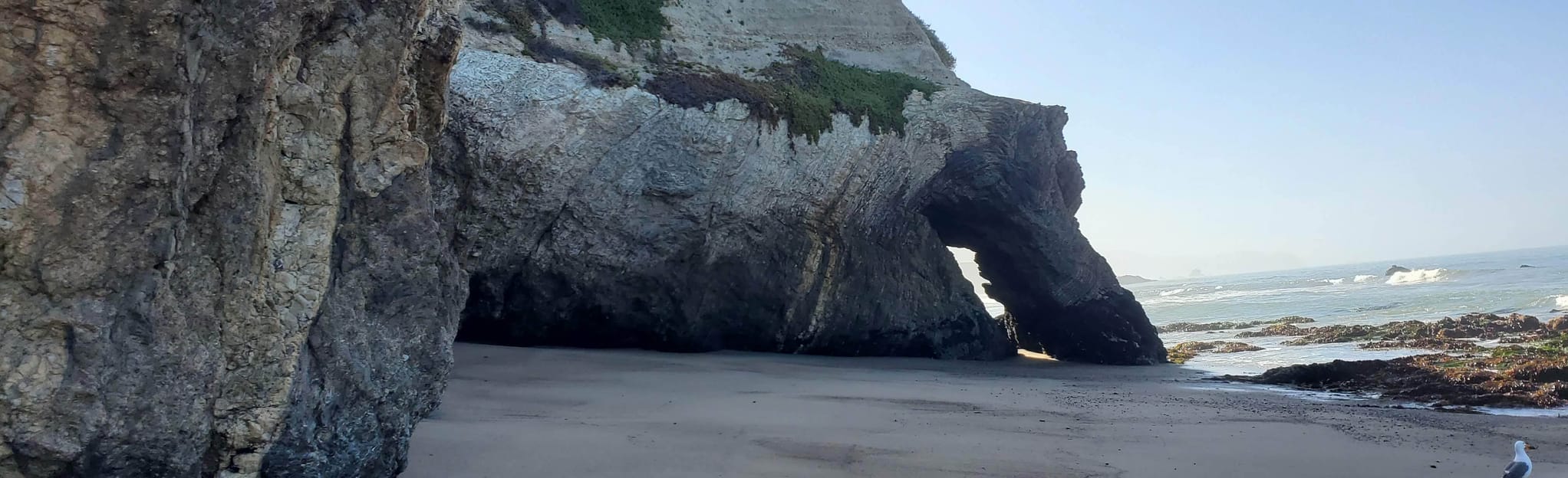 Point Reyes Secret Amphitheater/Crater, California 233 Reviews, Map