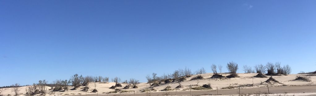 are dogs allowed in silver lake sand dunes