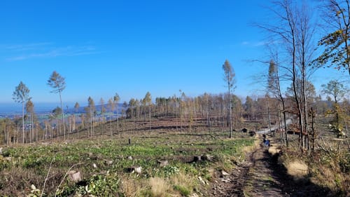 Goldener Herbst in der Oberlausitz