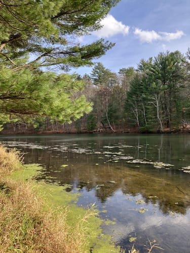 Best 10 Hikes and Trails in Mirror Lake State Park | AllTrails