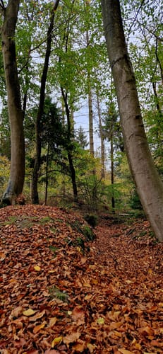 Von Louisenburg an der Blauen Lagune