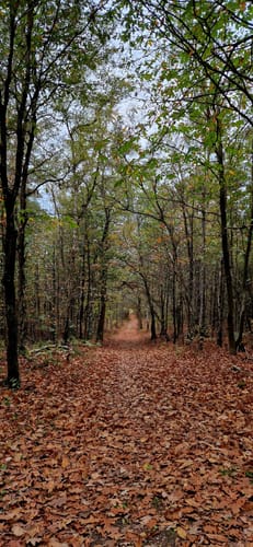 Von Louisenburg an der Blauen Lagune