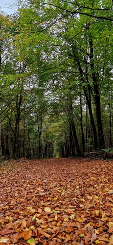 Von Louisenburg an der Blauen Lagune