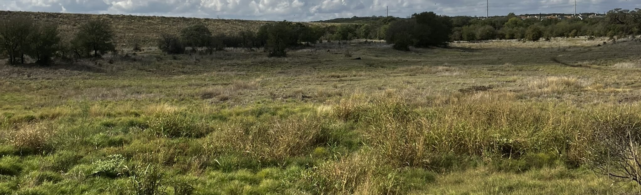 Panther Springs Loop 132 foto's Texas AllTrails