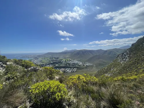 10 Best Trails And Hikes In Hermanus AllTrails   EyJidWNrZXQiOiJhc3NldHMuYWxsdHJhaWxzLmNvbSIsImtleSI6InVwbG9hZHMvcGhvdG8vaW1hZ2UvNTQxMDI4NTQvMmRhMDA5NmU5MTk4Zjk1NjZjOTQzMzQ3NjcwYzljN2MuanBnIiwiZWRpdHMiOnsidG9Gb3JtYXQiOiJ3ZWJwIiwicmVzaXplIjp7IndpZHRoIjo1MDAsImhlaWdodCI6NTAwLCJmaXQiOiJpbnNpZGUifSwicm90YXRlIjpudWxsLCJqcGVnIjp7InRyZWxsaXNRdWFudGlzYXRpb24iOnRydWUsIm92ZXJzaG9vdERlcmluZ2luZyI6dHJ1ZSwib3B0aW1pc2VTY2FucyI6dHJ1ZSwicXVhbnRpc2F0aW9uVGFibGUiOjN9fX0=