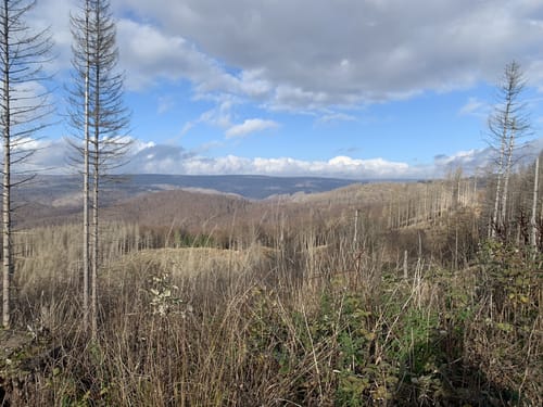 Aus Paradies zum Großen Knollen