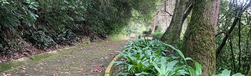 La Cueva de la Orquídea - Cerro de Macuiltépetl | Map, Guide - Veracruz,  Mexico | AllTrails