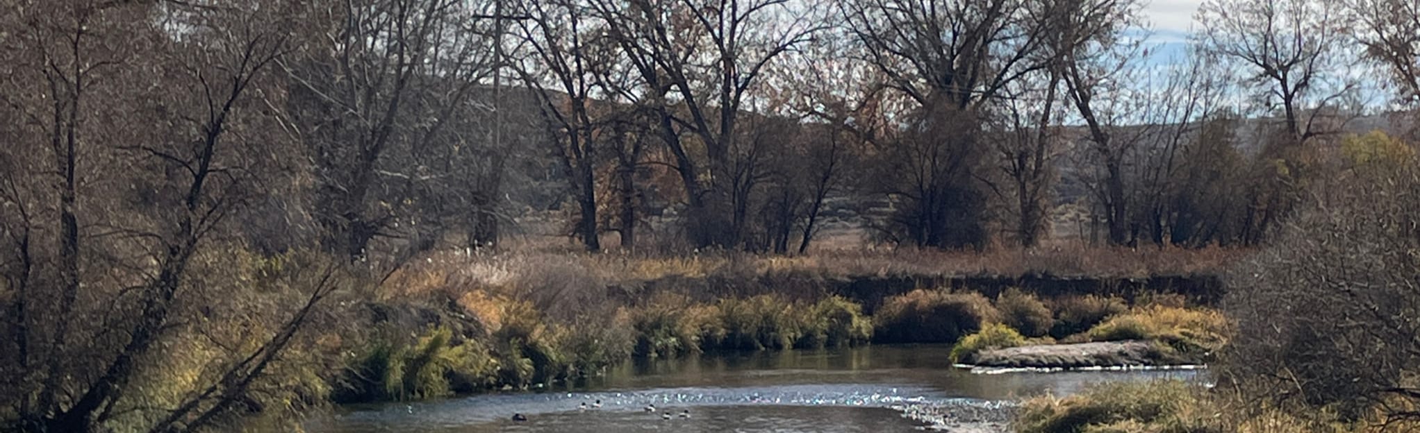 Poudre River Trail Windsor to - EyJidWNrZXQiOiJhc3NldHMuYWxsdHJhaWxzLmNvbSIsImtleSI6InVwbG9hZHMvcGhvdG8vaW1hZ2UvNTQxMTUwNDAvZmU5MTAzNDI5NmVkZDIwMWNhMTBmYzIxMzY4Y2JkY2MuanBnIiwiZWRpdHMiOnsidG9Gb3JtYXQiOiJqcGVnIiwicmVzaXplIjp7IndpZHRoIjoyMDQ0LCJoZWlnaHQiOjYyNCwiZml0IjoiY292ZXIifSwicm90YXRlIjpudWxsLCJqcGVnIjp7InRyZWxsaXNRdWFudGlzYXRpb24iOnRydWUsIm92ZXJzaG9vdERlcmluZ2luZyI6dHJ1ZSwib3B0aW1pc2VTY2FucyI6dHJ1ZSwicXVhbnRpc2F0aW9uVGFibGUiOjN9fX0=